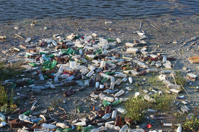 What Are the Impacts of Plastic Bottles?